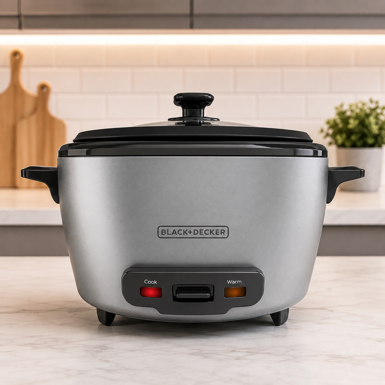 Olla Arrocera Black+Decker 10 Tazas con Vaporera RC5200M Plateada - imagen 1